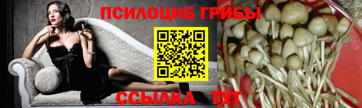 Галлюциногенные грибы мицелий Тобольск